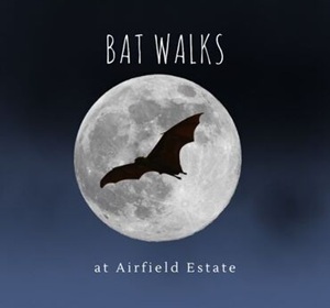 Bat Walk Series