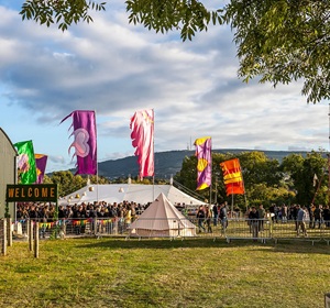 Team Building & Corporate Experiences